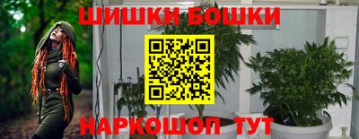 индика Краснознаменск