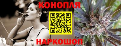 индика Краснознаменск