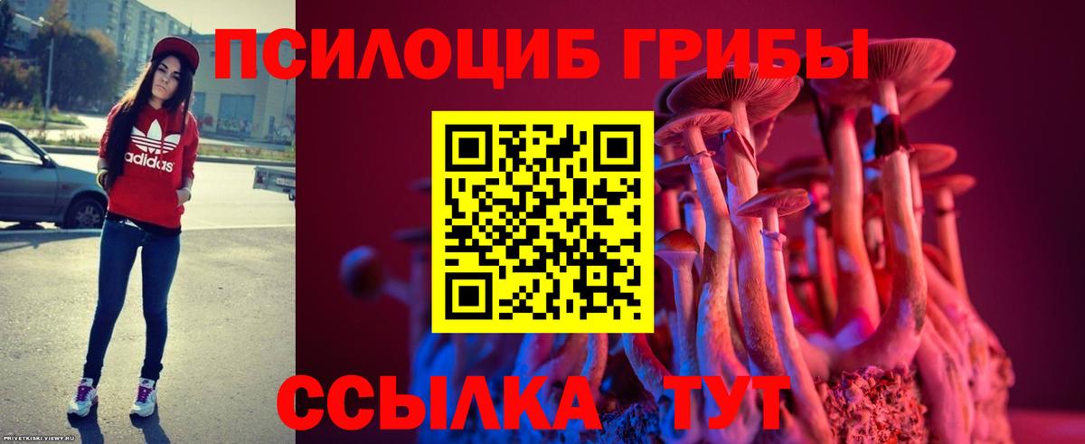Галлюциногенные грибы Cubensis Карачаевск