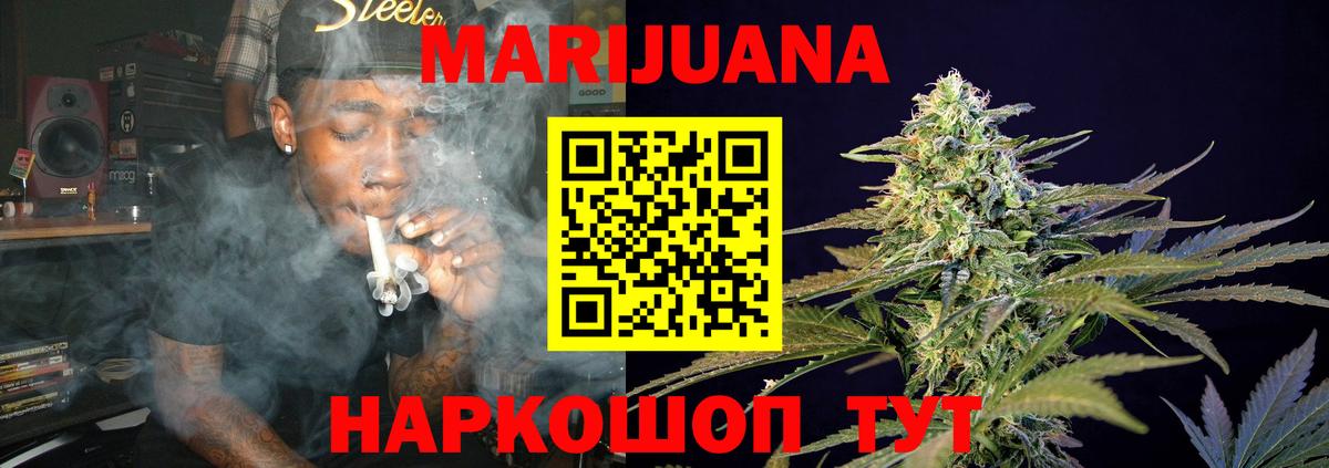 Каннабис индика Карачаевск